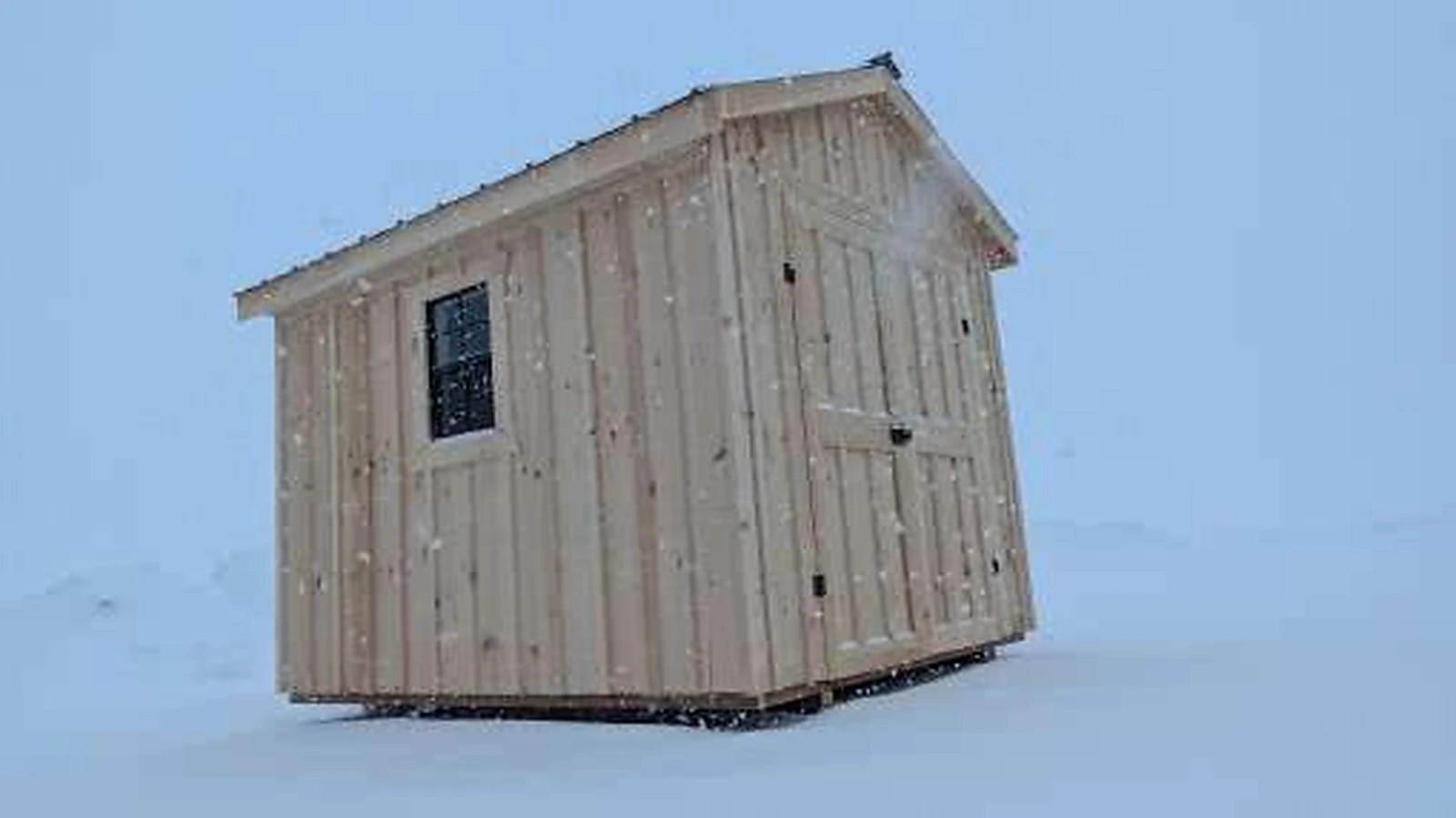 Pine shed in winter